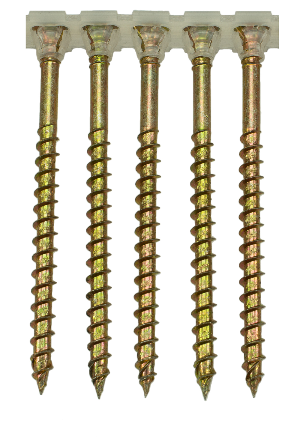 5.0x65mm Magazinierte Holzbauschrauben, gelb verzinkt, Torx25, 1.000 Stück