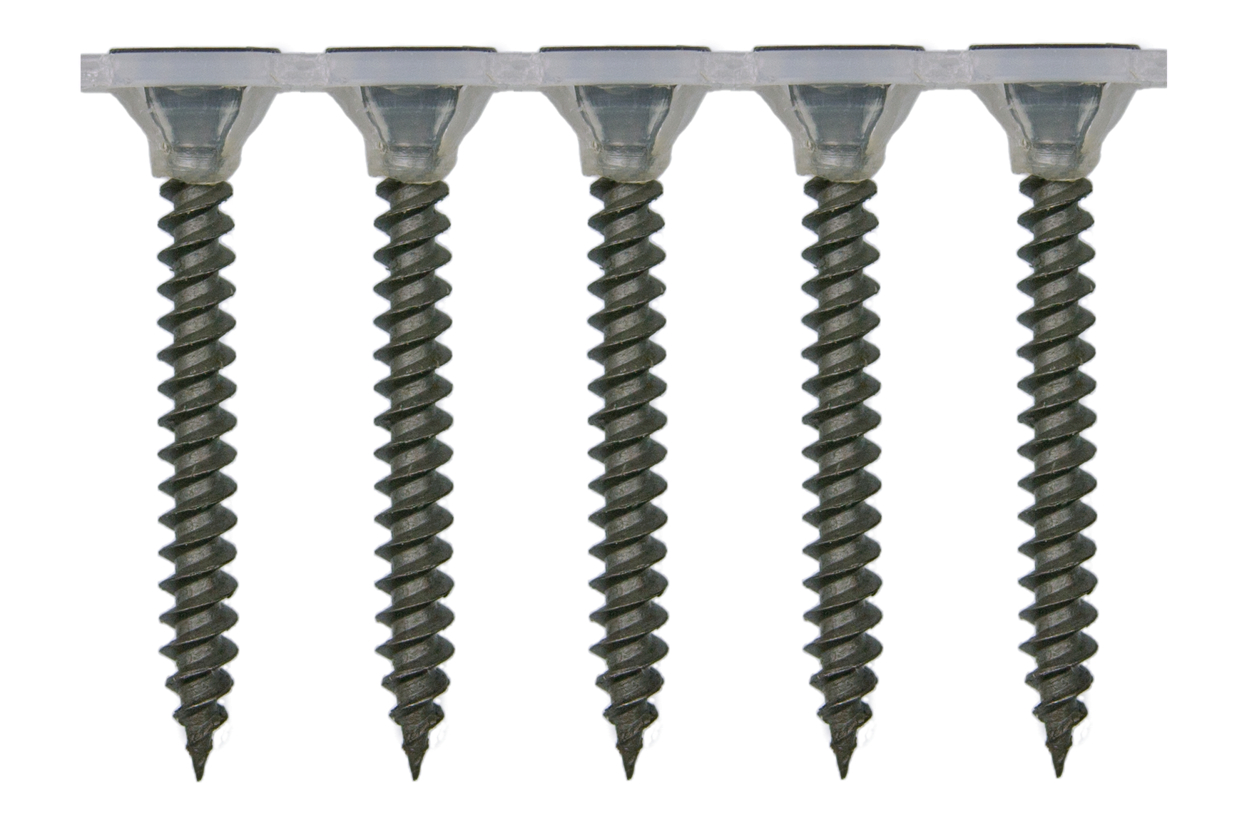 3.9x45mm magazinierte Schnellbauschraube mit Feingewinde, 1.000 Stück